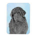 Recherche de chien terre neuve magnets Noir
