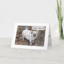 Search for piggy christmas cards Hog