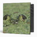 Search for camo office supplies America