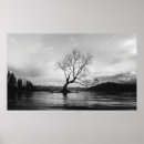 Search for bare trees posters Black