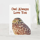 Recherche de hibou toujours amour cartes postales Mignon
