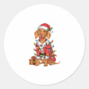 Search for vizsla dog stickers Weimaraner
