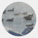 Search for canada geese stickers Waterfowl