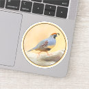 Recherche de poussins autocollants Oiseau