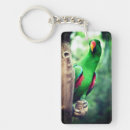 Search for colourful parrot keychains Bird