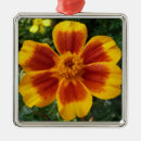 Search for marigold ornaments Yellow