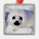 Search for pup ornaments Snow