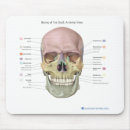 Search for anatomy skull electronics Illustration