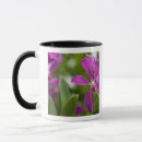 Recherche de hopkins tasses Destination