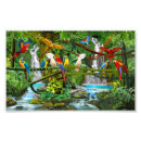 Recherche de peinture de perroquet posters Décoration