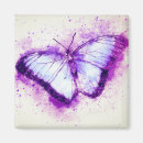 Search for artsy magnets Butterflies