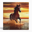 Search for galloping binders Wild horse