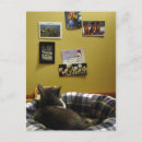 Search for wall art postcards Cat