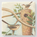 Search for bird coasters Nature