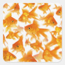 Search for orange background stickers Animal