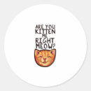 Search for caturday stickers Kitten