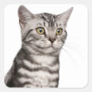 Search for 4 months stickers Cute