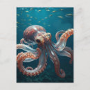 Recherche de de poulpe cartes postales Vie marine