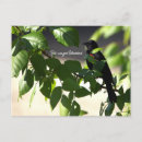Recherche de ailes cartes postales Animaux