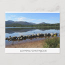 Search for scottish highlands postcards Souvenir