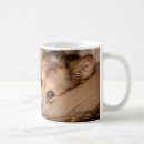 Search for sleepy dog mugs Corgi