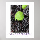 Recherche de cuisine posters Maison