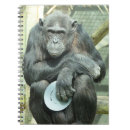 Search for chimpanzees notebooks Funny