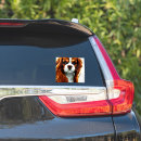 Search for blenheim cavalier king charles stickers Ckcs