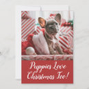 Search for french bulldog christmas cards Puppy