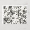 Search for silhouette postcards Flowers