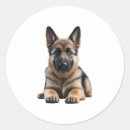 Search for german shepherd puppies stickers Canine