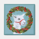 Search for llama magnets Illustration