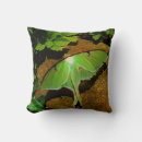 Recherche de luna coussins Insecte