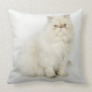 Search for portrait pillows Cat lovers
