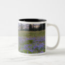 Search for washington state mugs national park