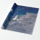 Recherche de navette papier cadeau Nasa