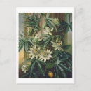 Recherche de fleurs 19ème cartes postales De