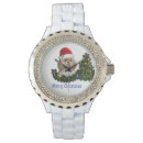 Recherche de tzu shih accessoires Chien