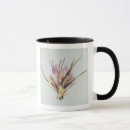 Recherche de safran tasses Fleur