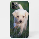 Search for livestock iphone cases Animal