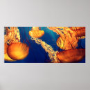 Recherche de biologiste art Animal