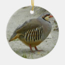 Search for partridge ornaments Chukar