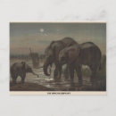 Recherche de african elephant cartes postales Éléphant africain