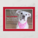 Search for wear pink postcards Puppy