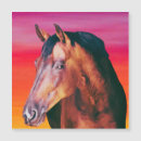 Recherche de gelatin cartes postales Étalon