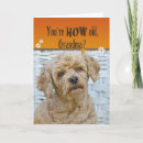 Search for dog grandma cards Funny