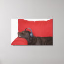 Search for headphones canvas prints Dog