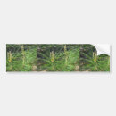 Search for pine bumper stickers Tree