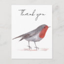 Recherche de robin des bois cartes postales Faune