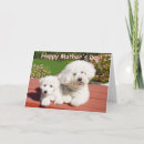 Search for funny dog mothers day cards Dogs